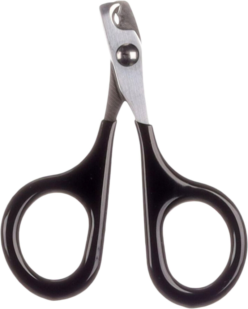 Nagelschaar Lidy