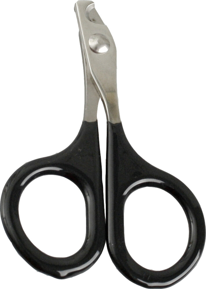 Nagelschaar Fabio Klein