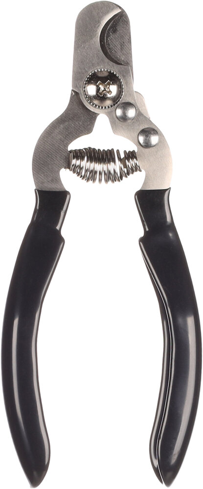 Nagelknipper Dino