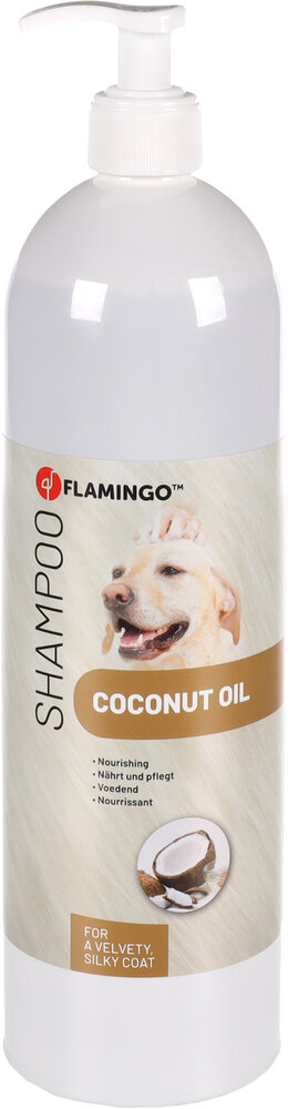 Shampoo Kokos
