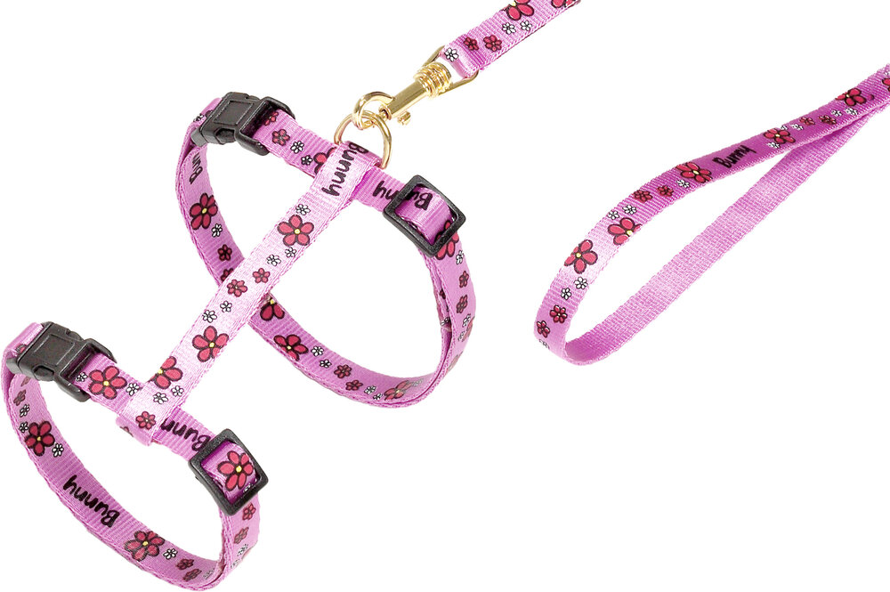 Harnas met looplijn Ziggi Roze