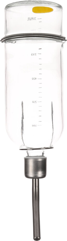 Drinkfles Athina Transparant &amp; Zilver