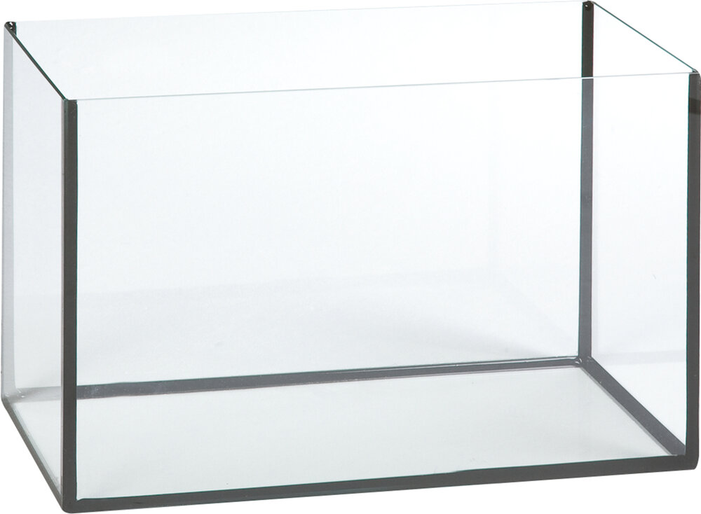 Aquarium Basic