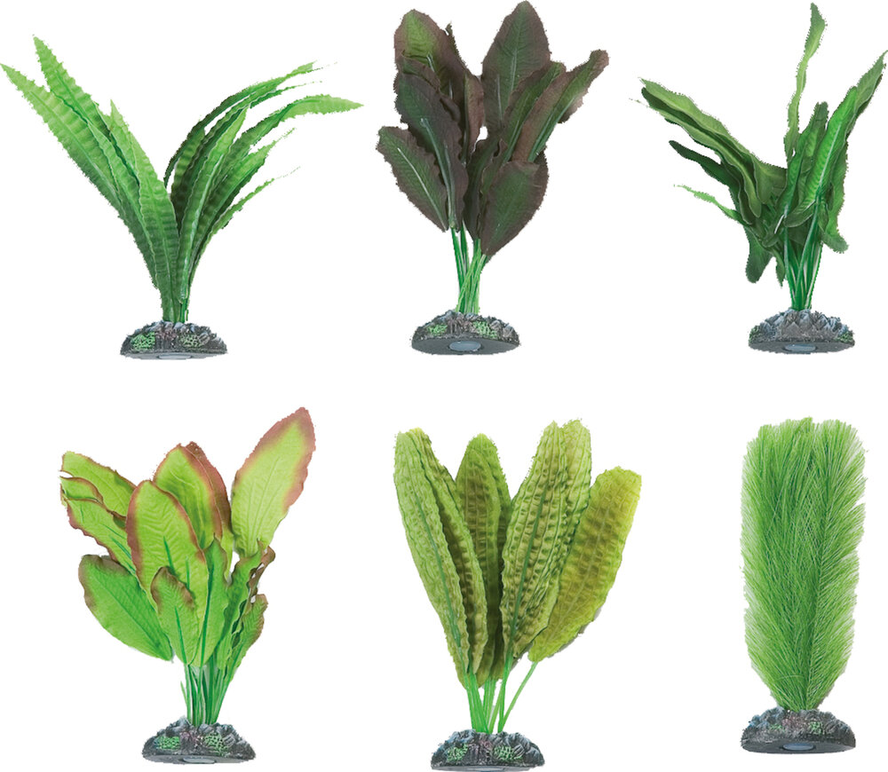 Decoratie Congo Meerdere uitvoeringen Plant