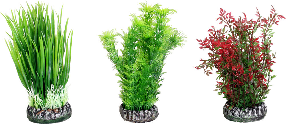 Decoratie Sri Lanka Meerdere kleuren Plant