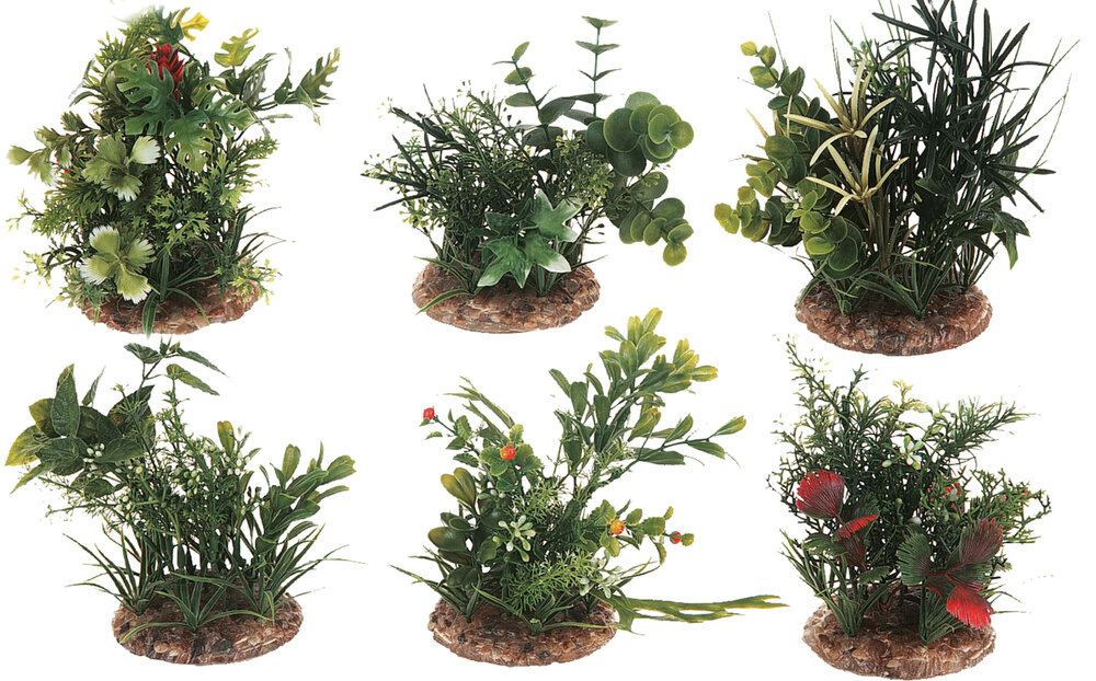 Decoratie Meerdere uitvoeringen Plant