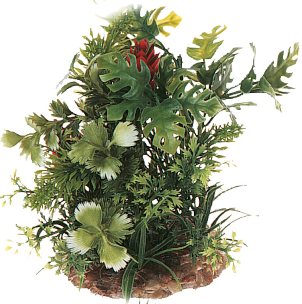 Decoratie Meerdere uitvoeringen Plant