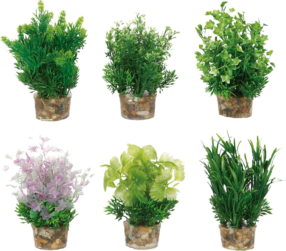 Decoratie Meerdere kleuren Plant