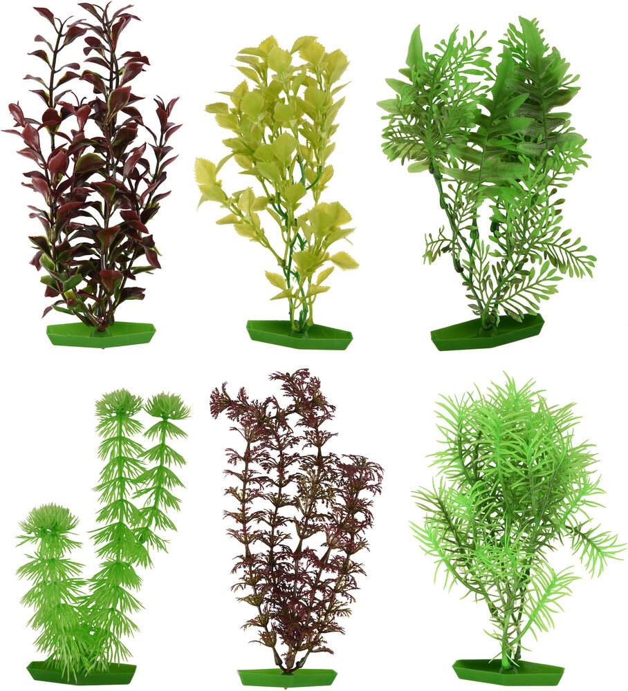 Decoratie Meerdere kleuren Plant