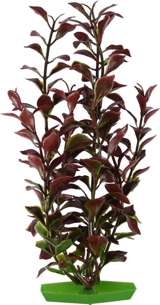 Decoratie Meerdere kleuren Plant