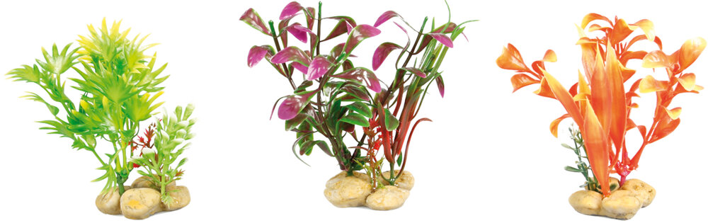 Decoratie Meerdere kleuren Plant