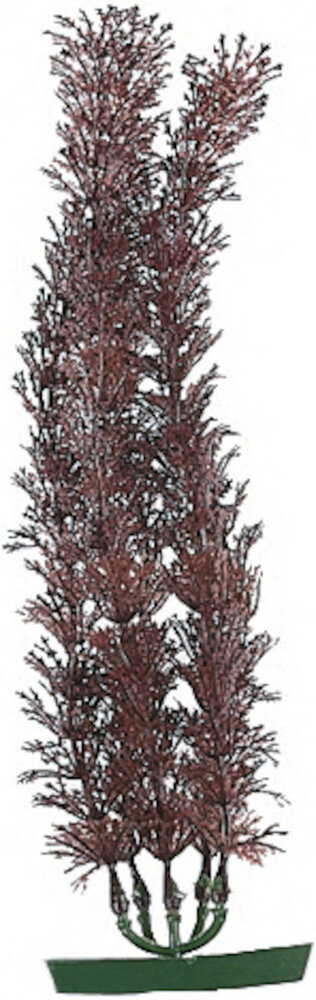 Decoratie Meerdere kleuren Plant