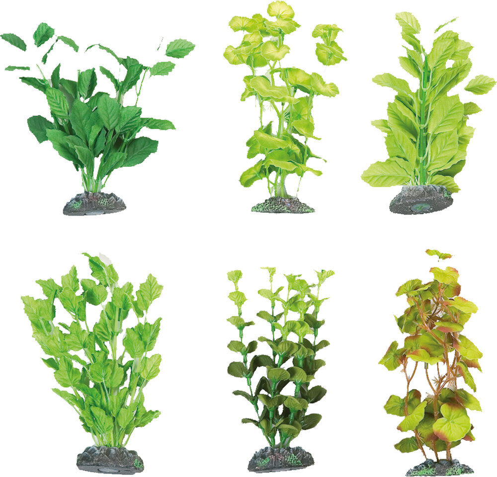 Decoratie Brasil Meerdere uitvoeringen Plant