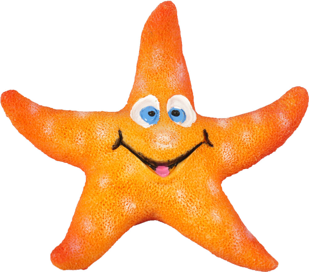 Decoratie Leto Oranje Zeester