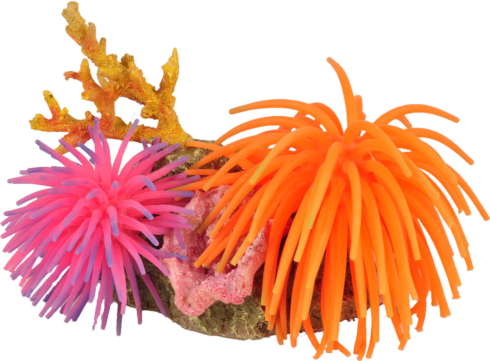 Decoratie Leo Meerdere kleuren Anemoon Rots