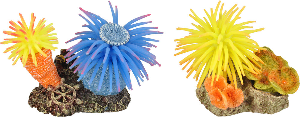 Decoratie Leo Meerdere kleuren Anemoon Rots