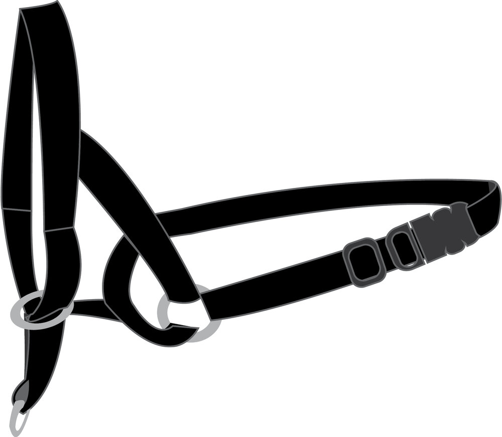 Hoofdhalsband Easy Leader Zwart