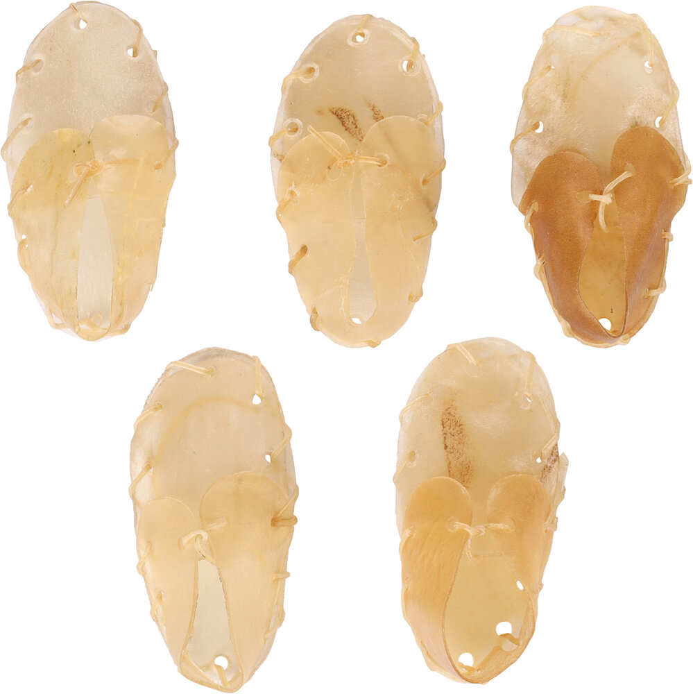 Snack R&#039;Hide Schoen 12cm 16g / 5 st 80g