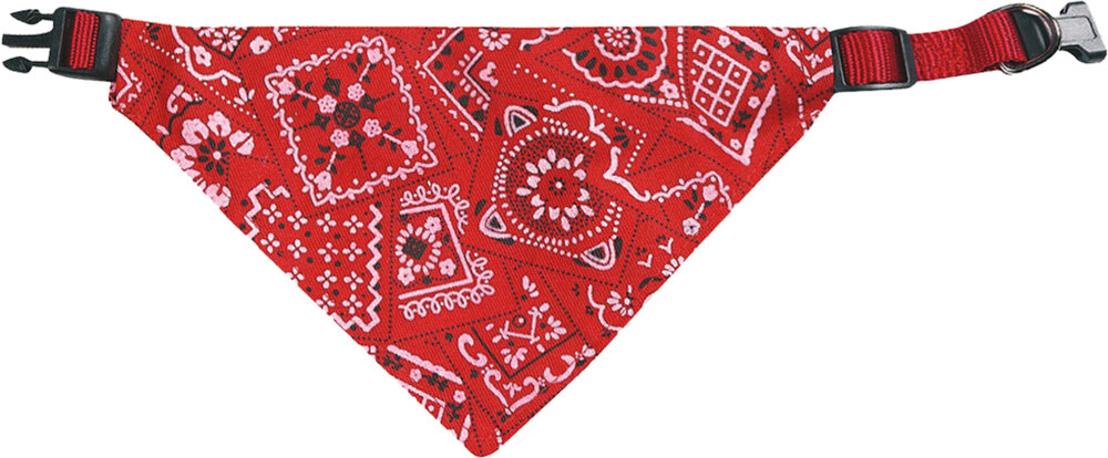 Halsband met bandana Pinto Rood