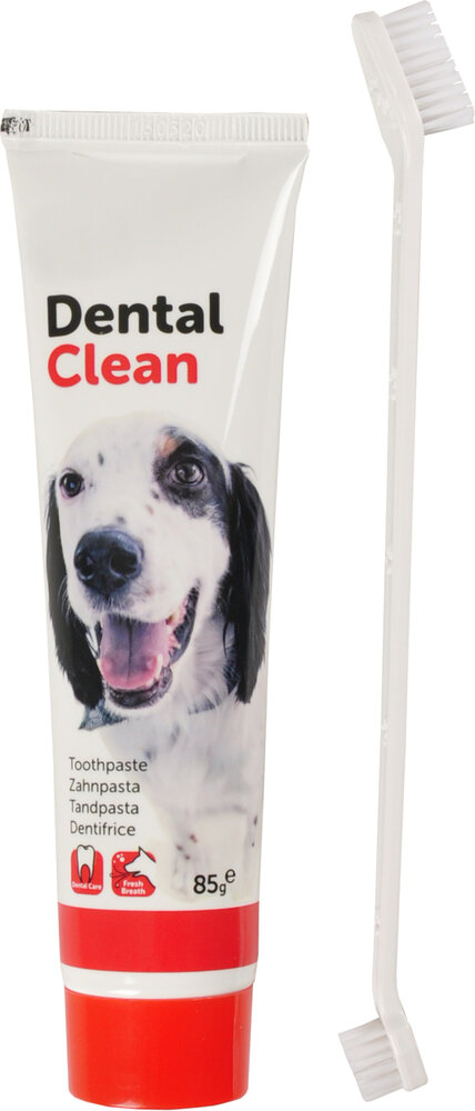 Tandpasta Munt Tube