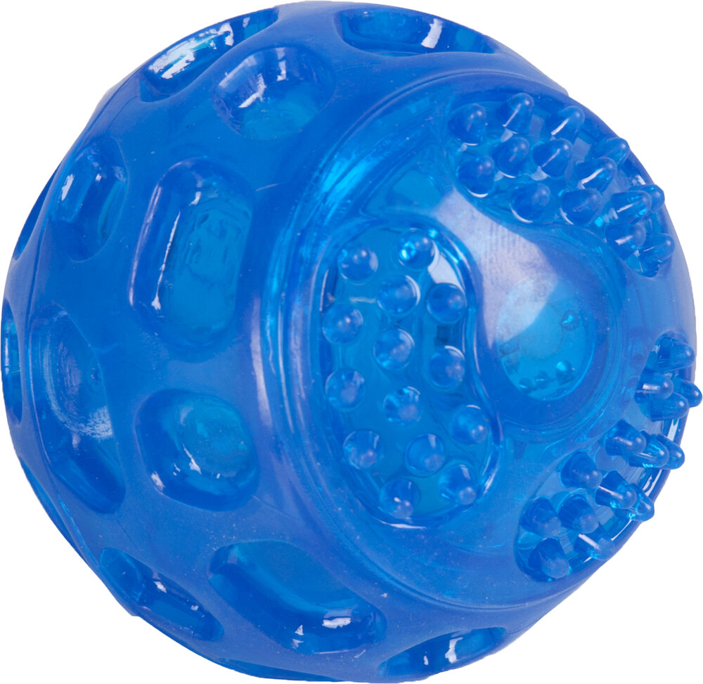 Speelgoed Bordy Bal Blauw