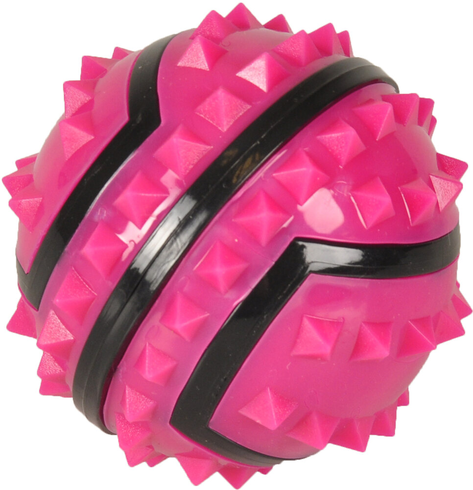 Speelgoed Spiky Bal Fuchsia