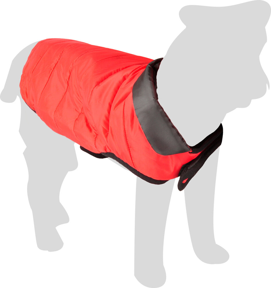 Jas Eden Rood