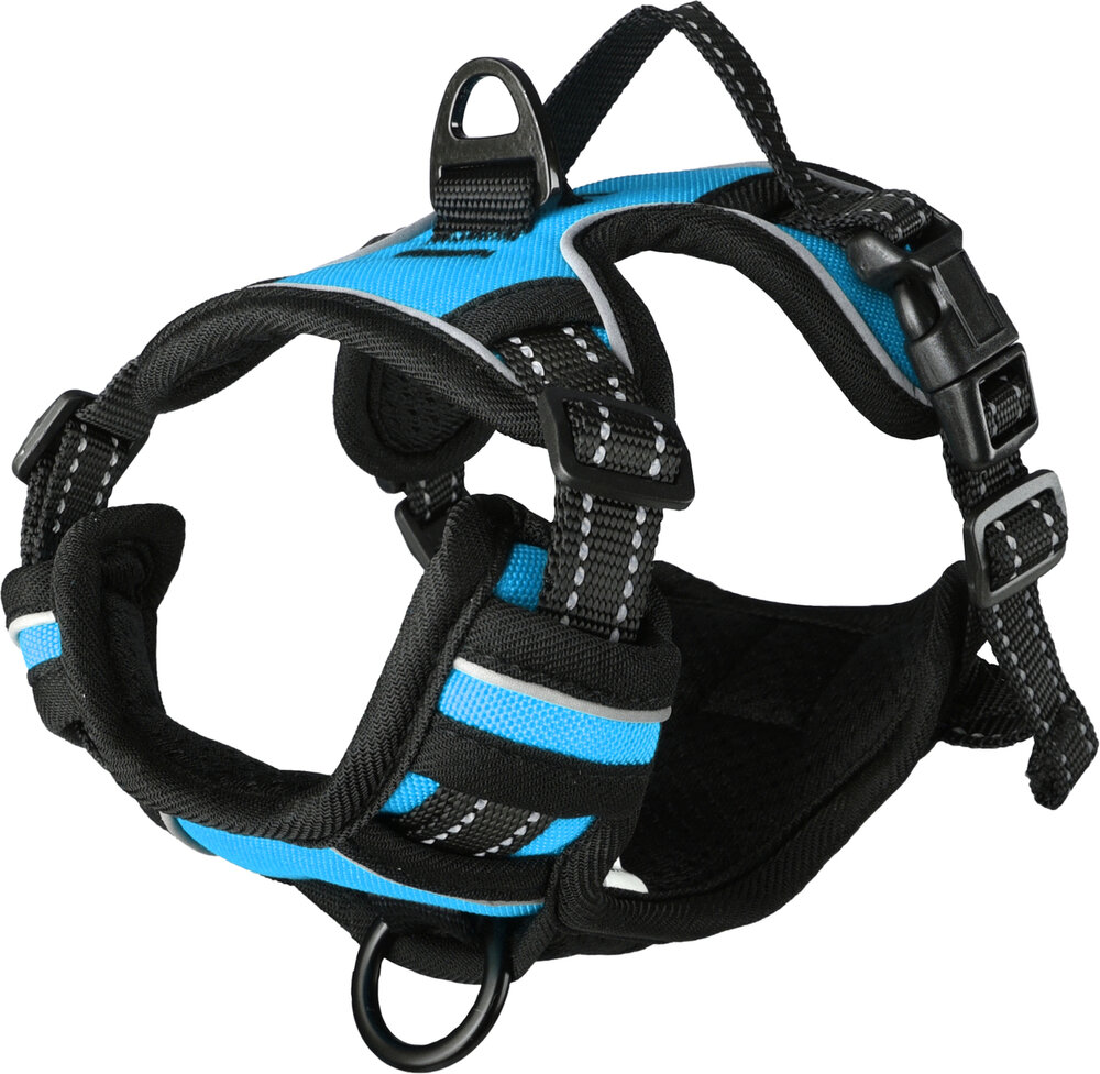 Harnas Balou Blauw