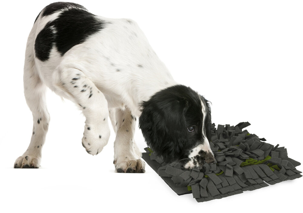 Snuffelmat Amigo Donkergrijs
