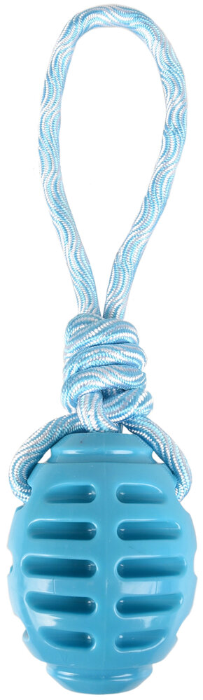 Speelgoed Rudo Trektouw &amp; Rugbybal Twist Lichtblauw