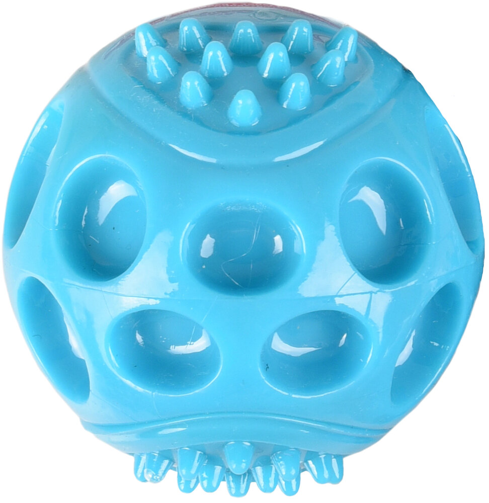 Speelgoed Wido Bal Blauw