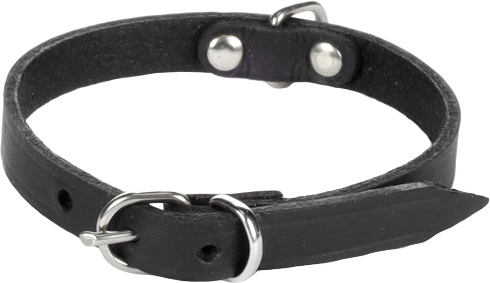 Halsband Seattle Zwart