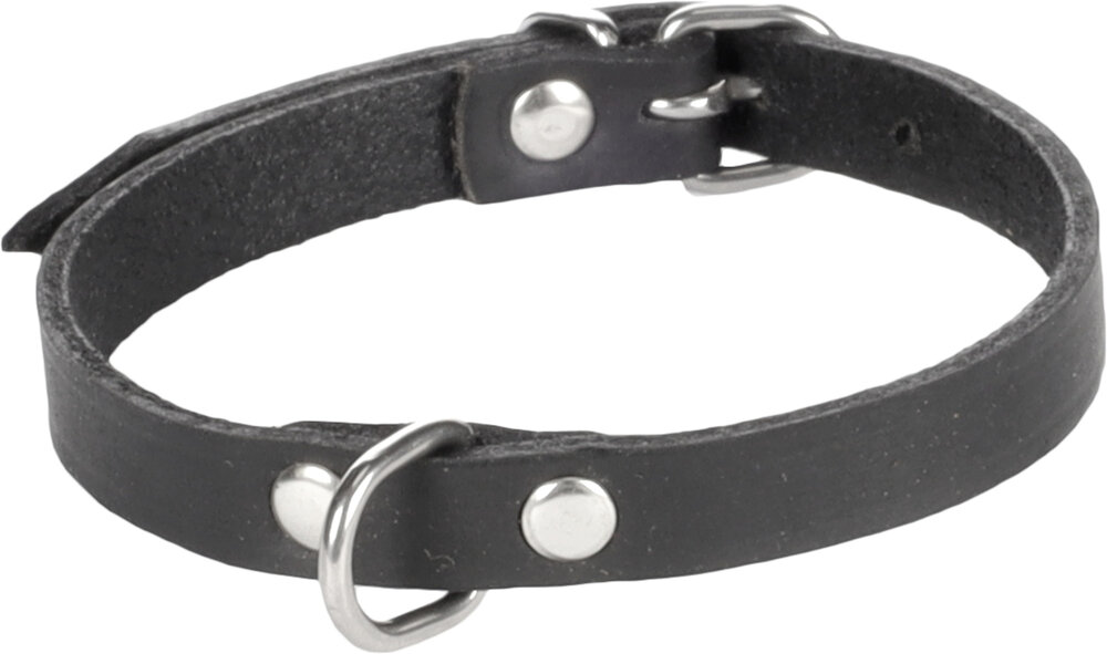 Halsband Seattle Zwart