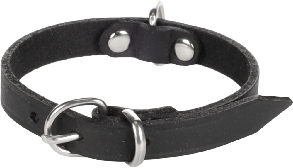 Halsband Seattle Zwart