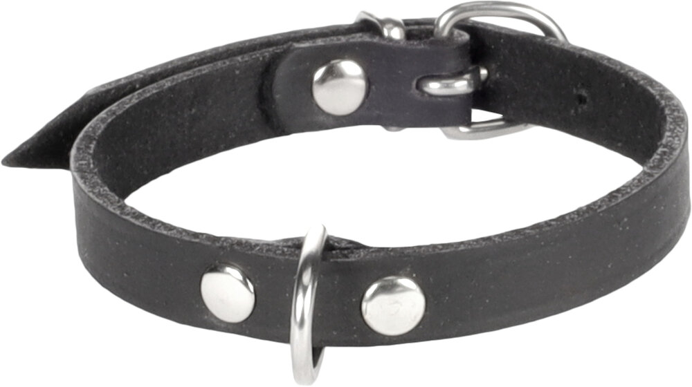 Halsband Seattle Zwart