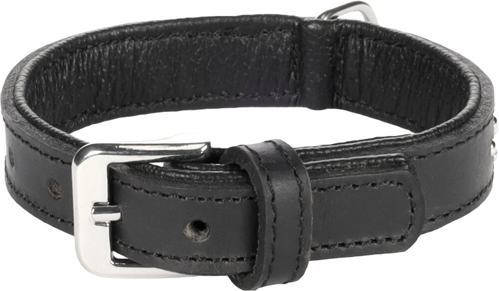 Halsband Gevoerd Atlanta Zwart