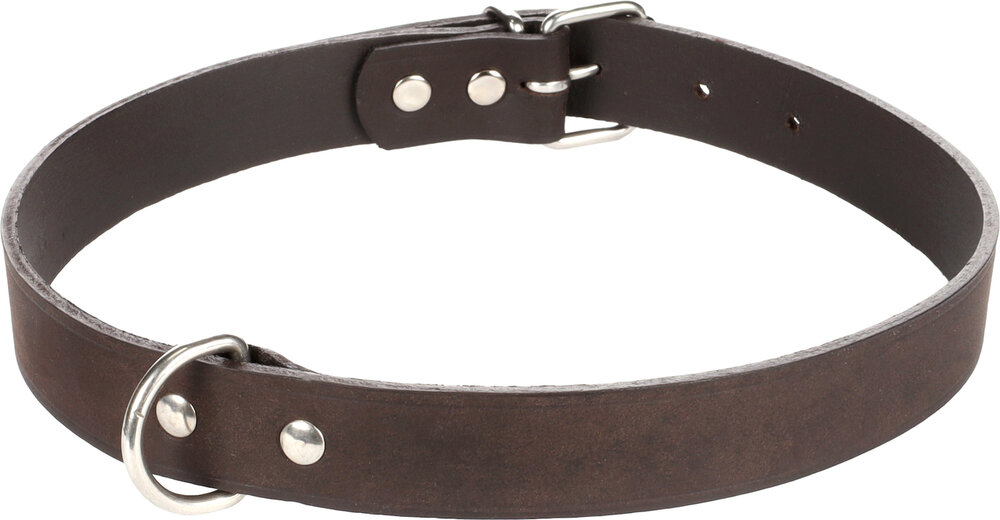 Halsband Seattle Donkerbruin