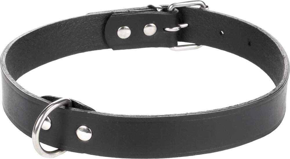 Halsband Seattle Zwart