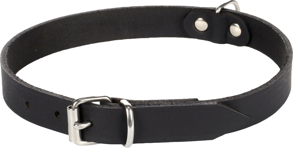 Halsband Seattle Zwart