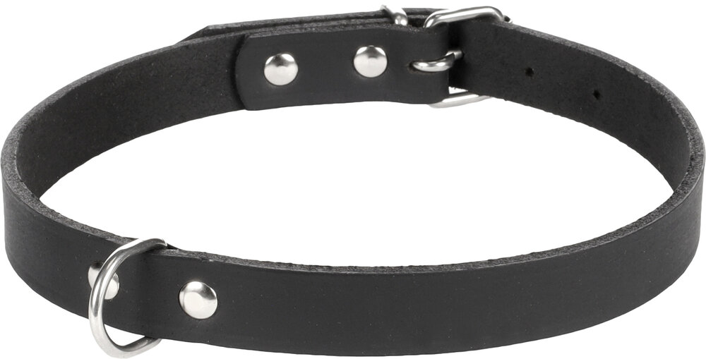 Halsband Seattle Zwart