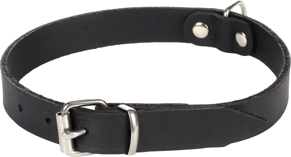 Halsband Seattle Zwart