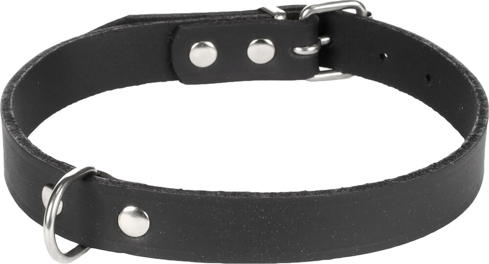 Halsband Seattle Zwart