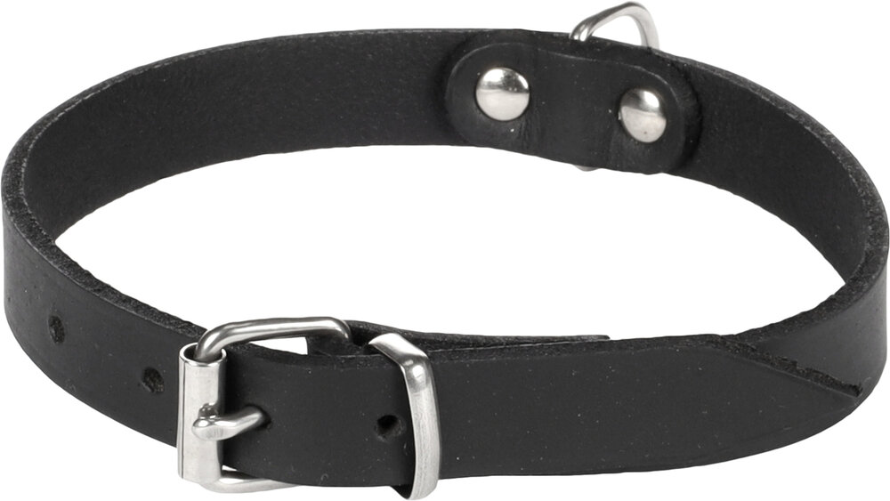 Halsband Seattle Zwart
