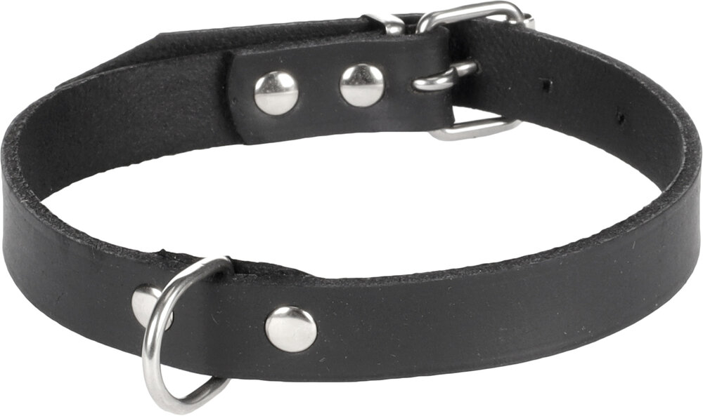 Halsband Seattle Zwart