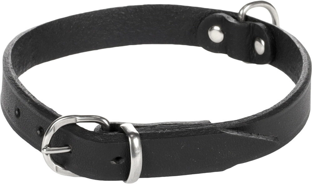 Halsband Seattle Zwart