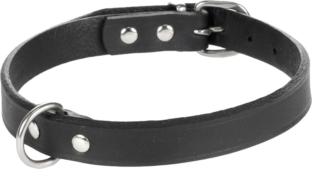 Halsband Seattle Zwart