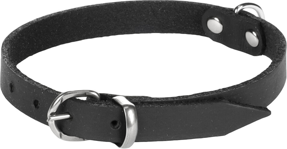 Halsband Seattle Zwart