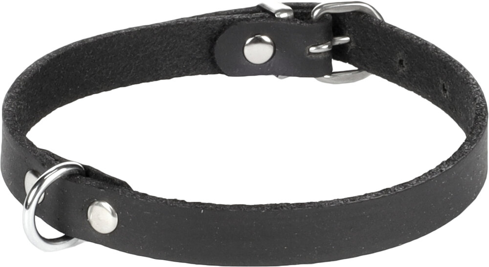 Halsband Seattle Zwart