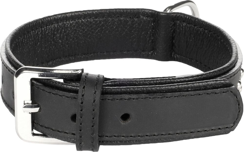 Halsband Gevoerd Atlanta Zwart