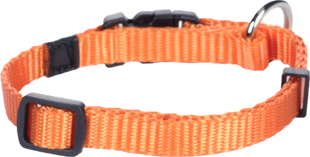 Halsband Ziggi Oranje
